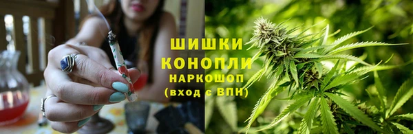 амф Надым