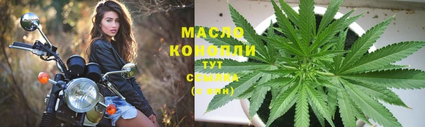 амф Надым