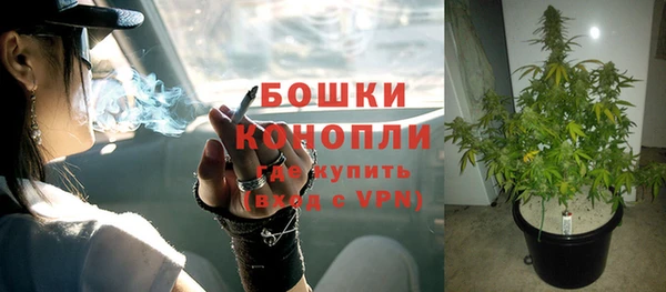 амф Надым