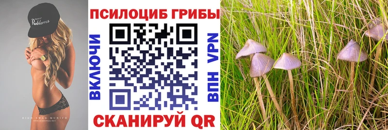 Псилоцибиновые грибы MAGIC MUSHROOMS  blacksprut рабочий сайт  Нижняя Салда 